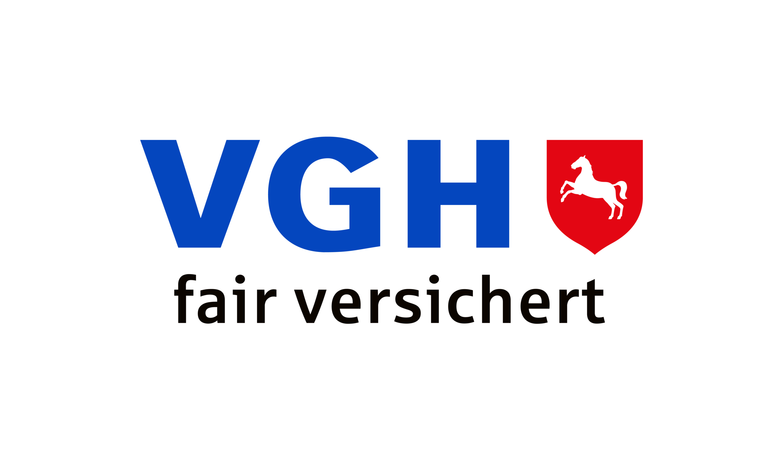 Logo VGH